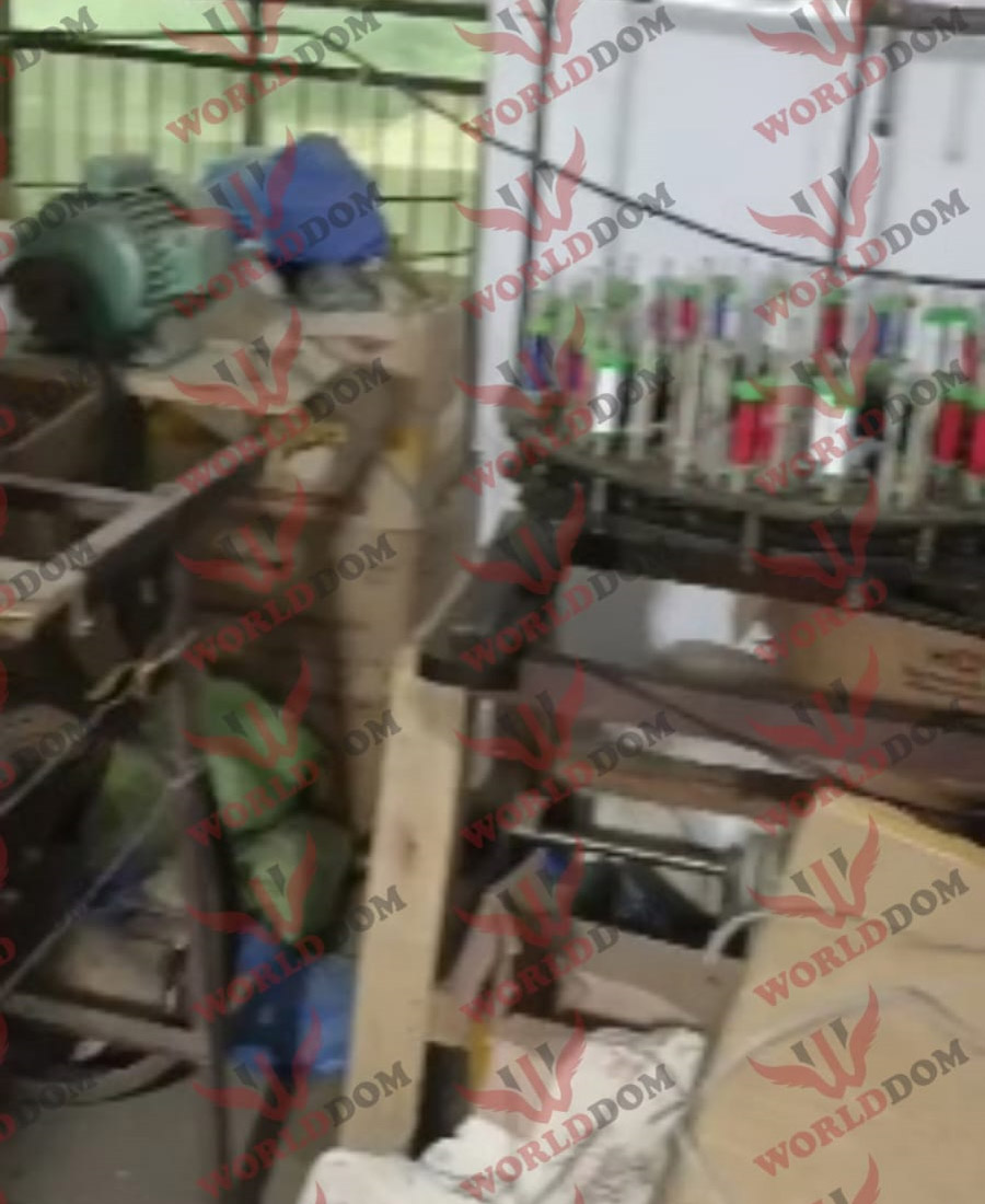 Worlddom Interntional